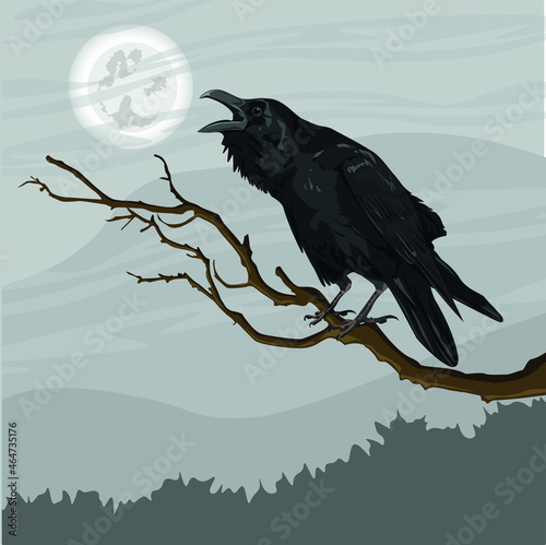 A large black crow, Corvus corax, sits on a tree branch. Spruce forest and cloudy night sky on the horizon. Realistic vector landscape