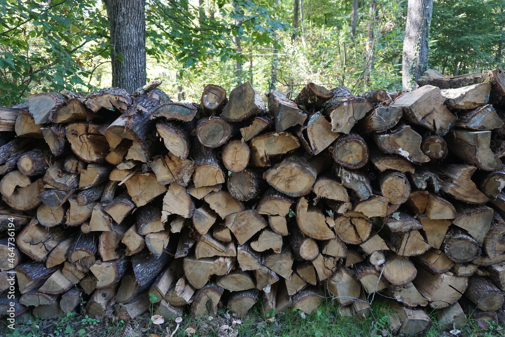 logs prepared for the winter season