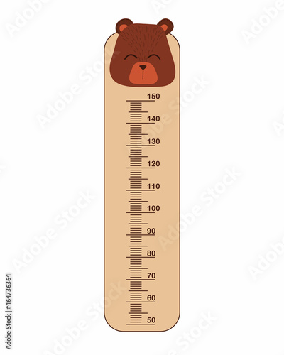 Kids meter wall with cute bear. Stadiometer for little children. Kids space height chart. Design of kid's products. Cute wall meter with funny animals. Vector template.