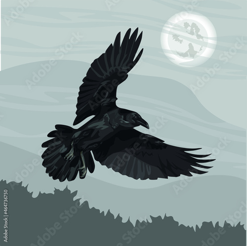 A large black crow Corvus corax flies against the background of a full moon. Spruce forest and cloudy night sky on the horizon. Realistic vector landscape. halloween