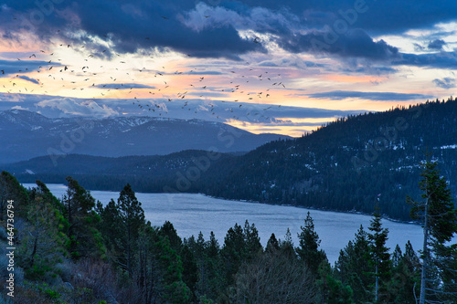 Mesmerizing view of Donner Lake, a freshwater lake in Northeast California at sunset photo