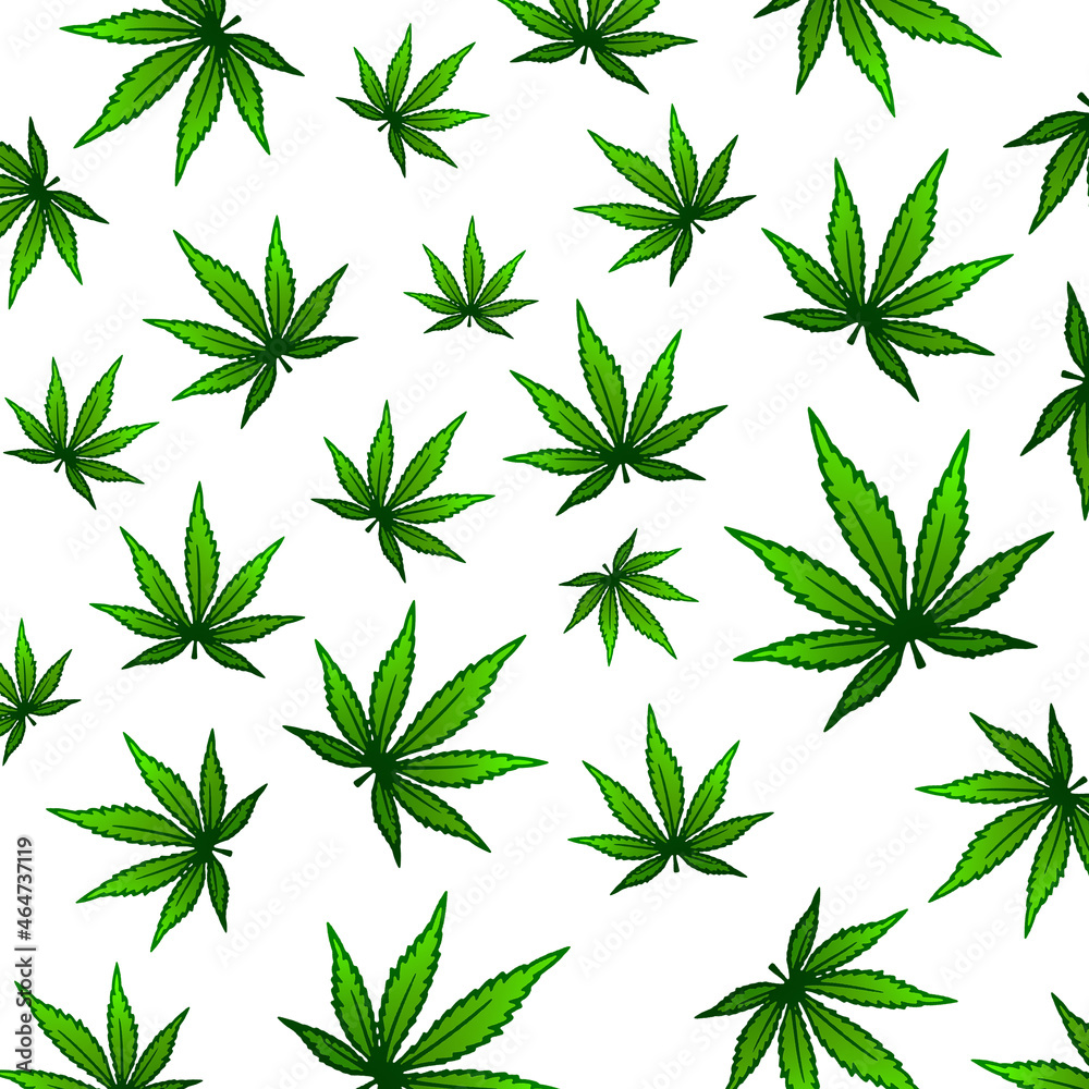 Cannabis marijuana drug , herb rass legal healthy planted background
