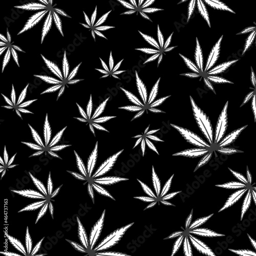 Cannabis marijuana drug , herb rass legal healthy planted background