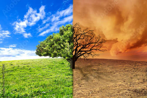 Climate change landscape with tree