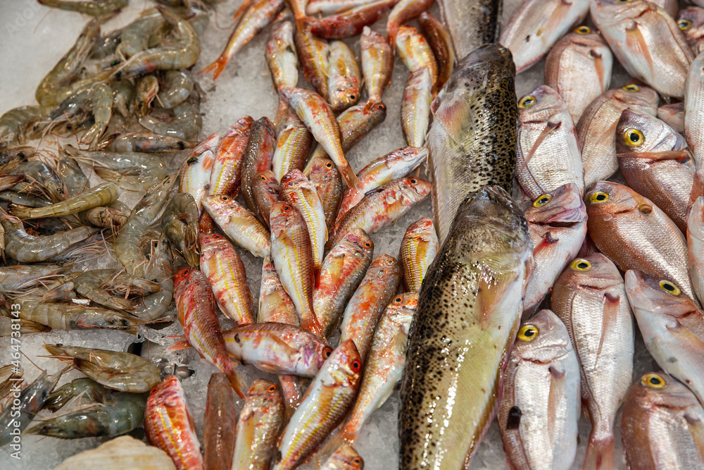Shrimps, red mullet, litrini, mackerel fish on ice closeup