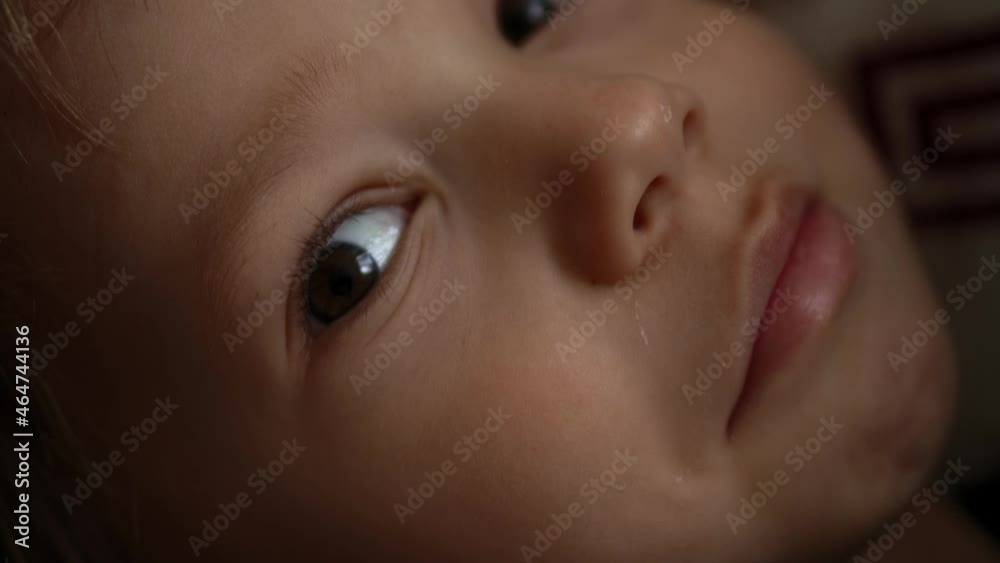 Beautiful Child Looking at Camera. Portrait of Little Cute Baby Boy Face. Close-Up Boy's Brown Eyes. Children's Emotions. Kid's Focused Look. Highly Detailed Portrait of Caucasian Boy. Natural Beauty Beautiful Child Looking at Camera. Portrait of Little Cute Baby Boy Face. Close-Up Boy's Brown Eyes. Children's Emotions. Kid's Focused Look. Highly Detailed Portrait of Caucasian Boy. Natural Beauty
