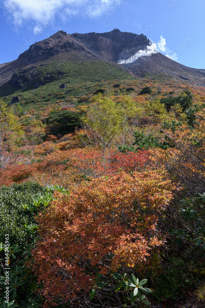 姥ヶ平から見た秋の茶臼岳 姥ヶ平から見た秋の茶臼岳