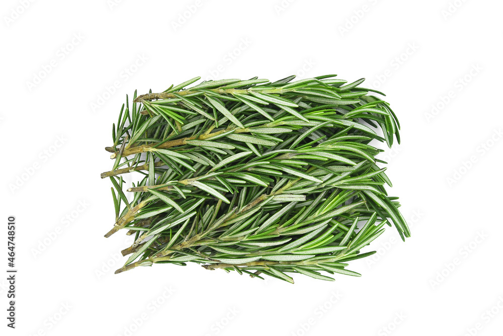 Rosemary bunch isolated on white background. Top view Rosemary bunch isolated on white background. Top view