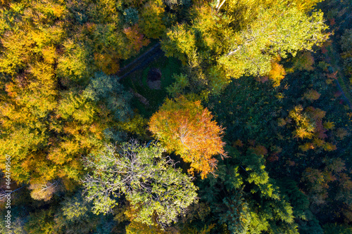 Luftaufnahme: Wald im Herbst