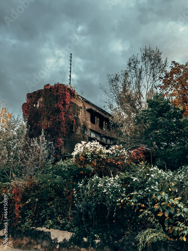 old mill in the forest