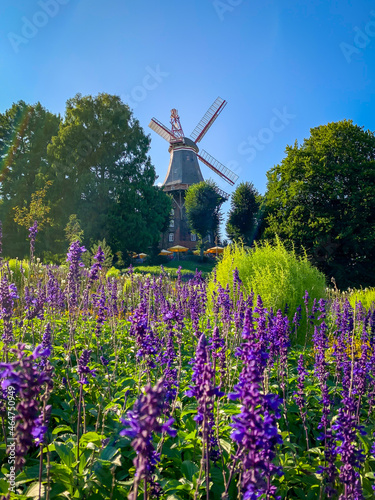 windmill in the country