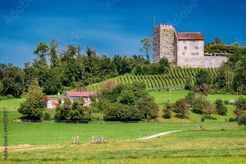Schloss Burg Habsburg im Aargau, Schweiz