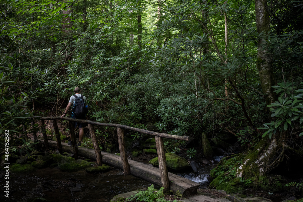 Man crosses log bridge in Smokies forest Man crosses log bridge in Smokies forest