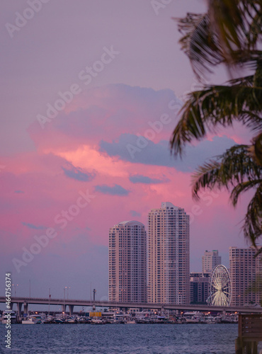 city skyline sunrise miami Florida sea sunset sky palms bridge buildings panorama 