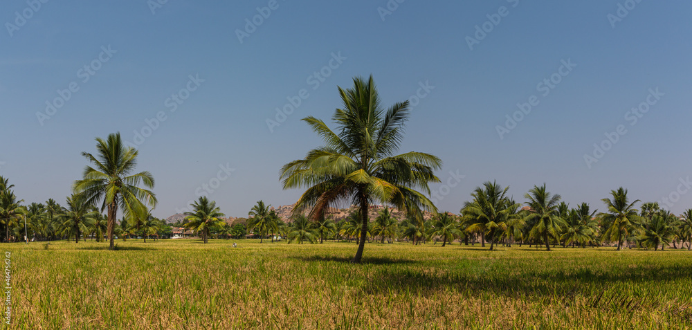 インド　ハンピの田園風景