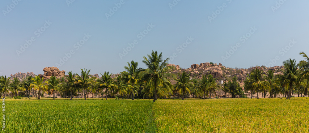 インド　ハンピの田園風景