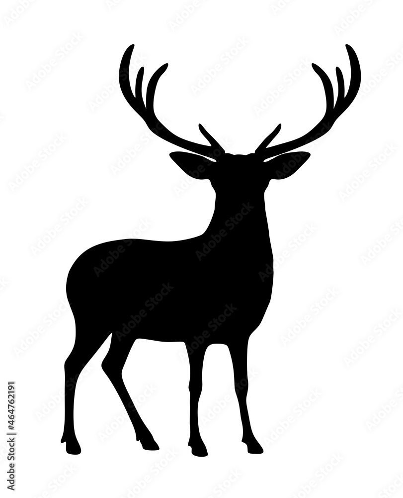 Buck Head Silhouette Outline