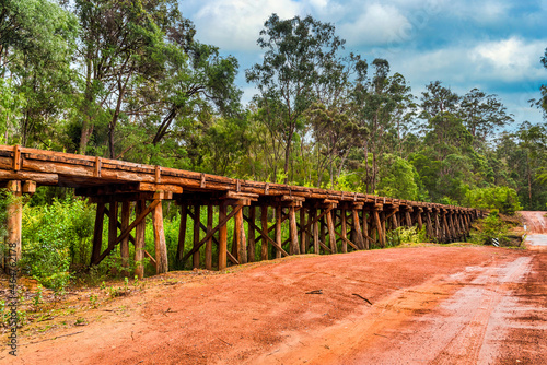 Old rail bridge amongst Karri trees in the Valley of the giants in the southwest of WA photo