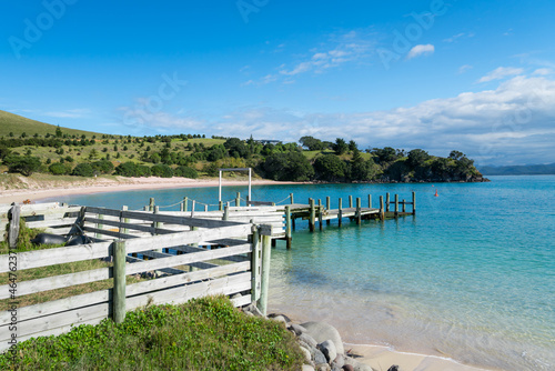 Summertime at the waterfront of a small island near Auckland  New Zealand. Blue sky  blue water  sea  beach  peaceful view.