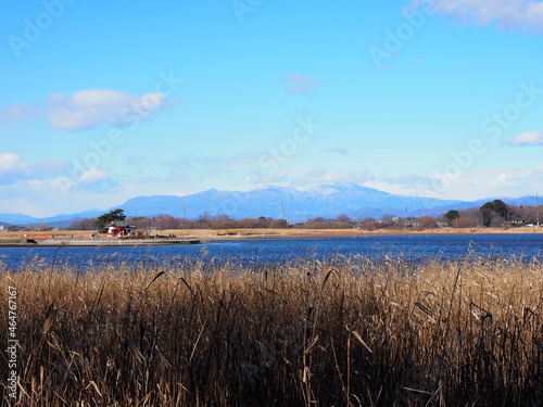 多々良沼と赤城山 photo