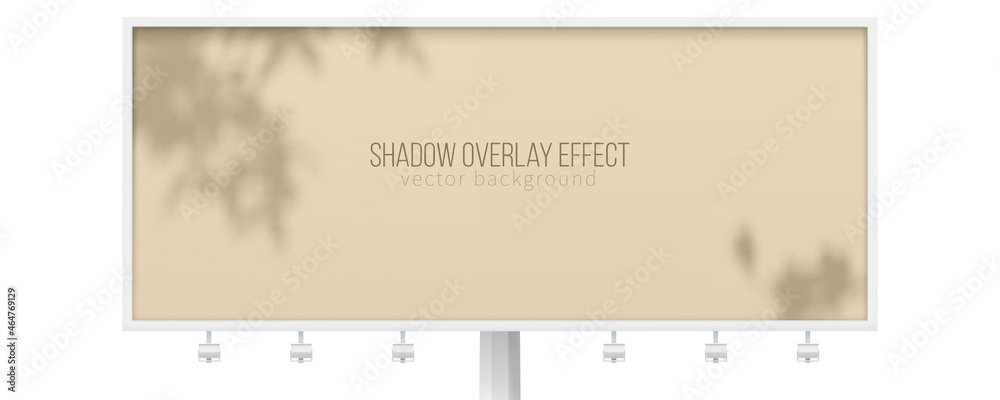 Billboard with shadow of tree branches. Beige vector background for branding or presentation of products.