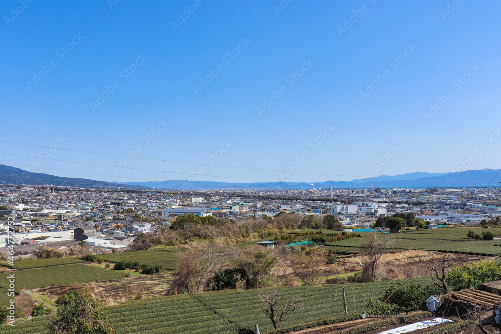 茶畑と富士市の街並み（静岡県富士市）