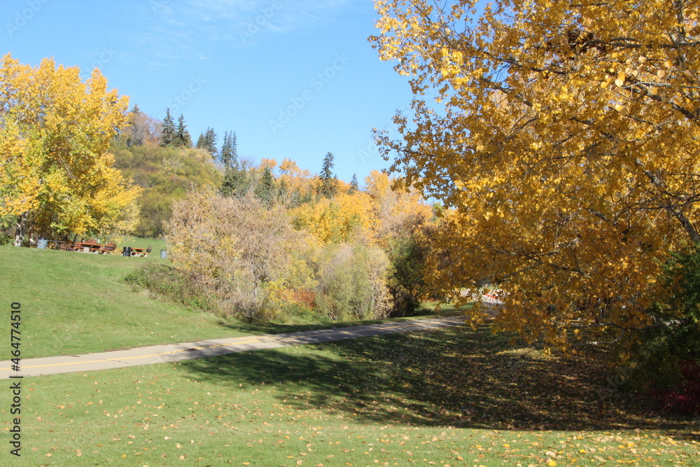 Fall Colors In The Park, Government House Park, Edmonton, Alberta