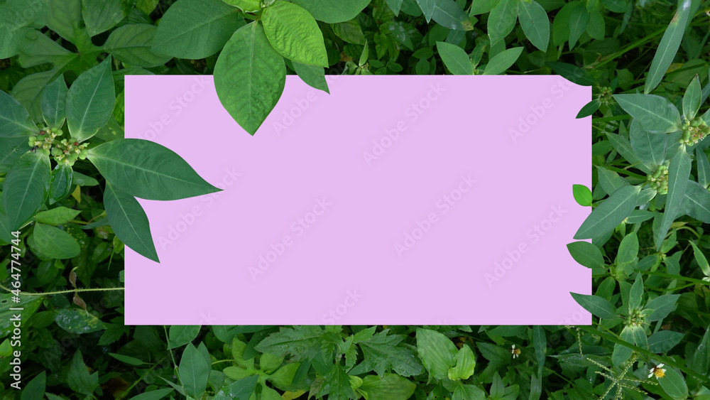 Pink square frame surrounded by natural green leaves and flowers for the background. Pink square frame surrounded by natural green leaves and flowers for the background.