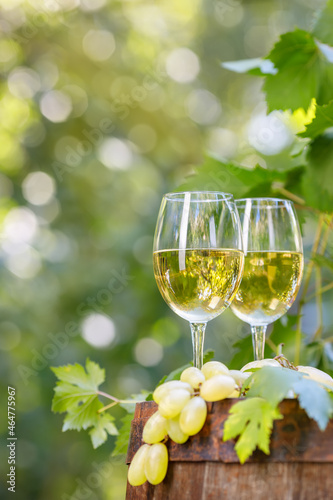 two glasses of white wine on wooden barrel in garden