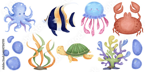 Photography Marine set of underwater inhabitants: turtle, crab, octopus, fish, jellyfish, algae, corals