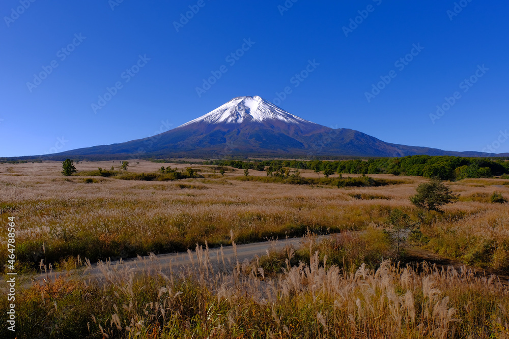Fototapeta premium 20211024梨が原(北富士演習場)からの青空快晴の富士山