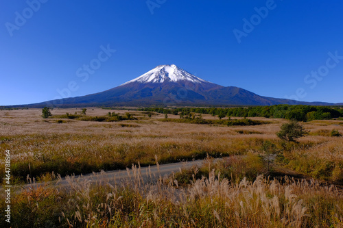 20211024梨が原(北富士演習場)からの青空快晴の富士山