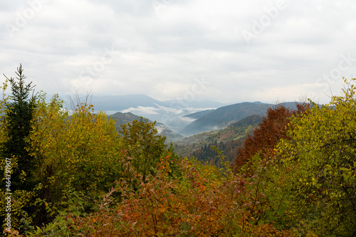 autumn landscape in the Carpathian mountains