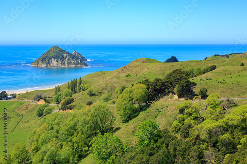 Coastline at Anaura Bay in the far eastern part of New Zealand's North Island. Out at sea is Motuoroi Island photo