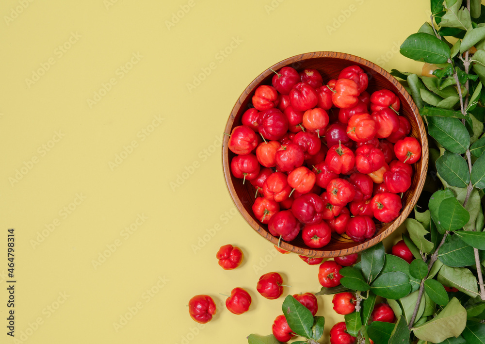 Red brazilian acerola cherry Citrus fruit contain high levels of vitamin C for good health. Red brazilian acerola cherry Citrus fruit contain high levels of vitamin C for good health.