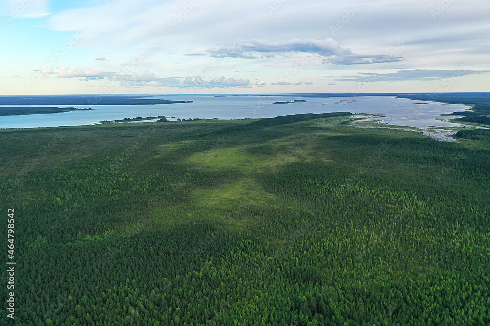 summer forest top view drone, background green trees panorama landscape summer forest top view drone, background green trees panorama landscape