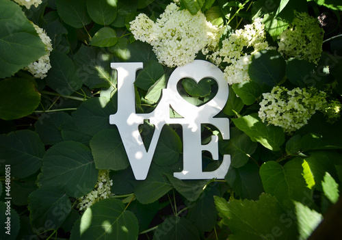 The word love on a green plants or floral hydrangea background