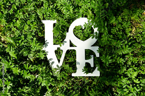 The word love on a green grass or floral background