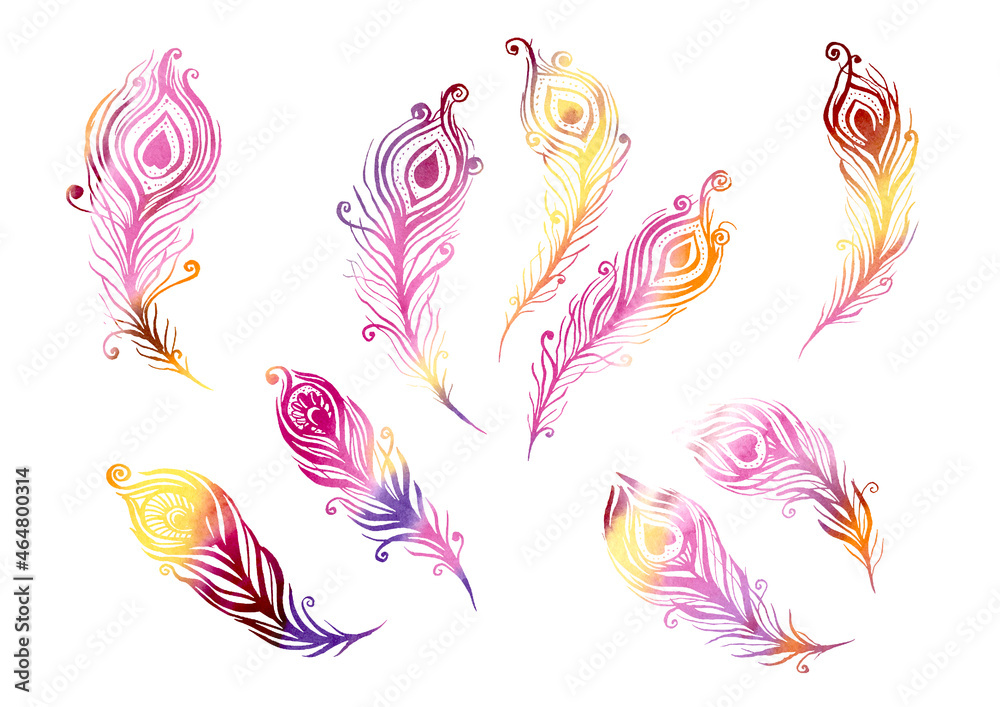 Watercolor multicolor Set of birds feather elements in the style of line art wedding theme on a white background. Doodle and scribble. Yellow, orange, violet, pink, purple and brown colorful peacock