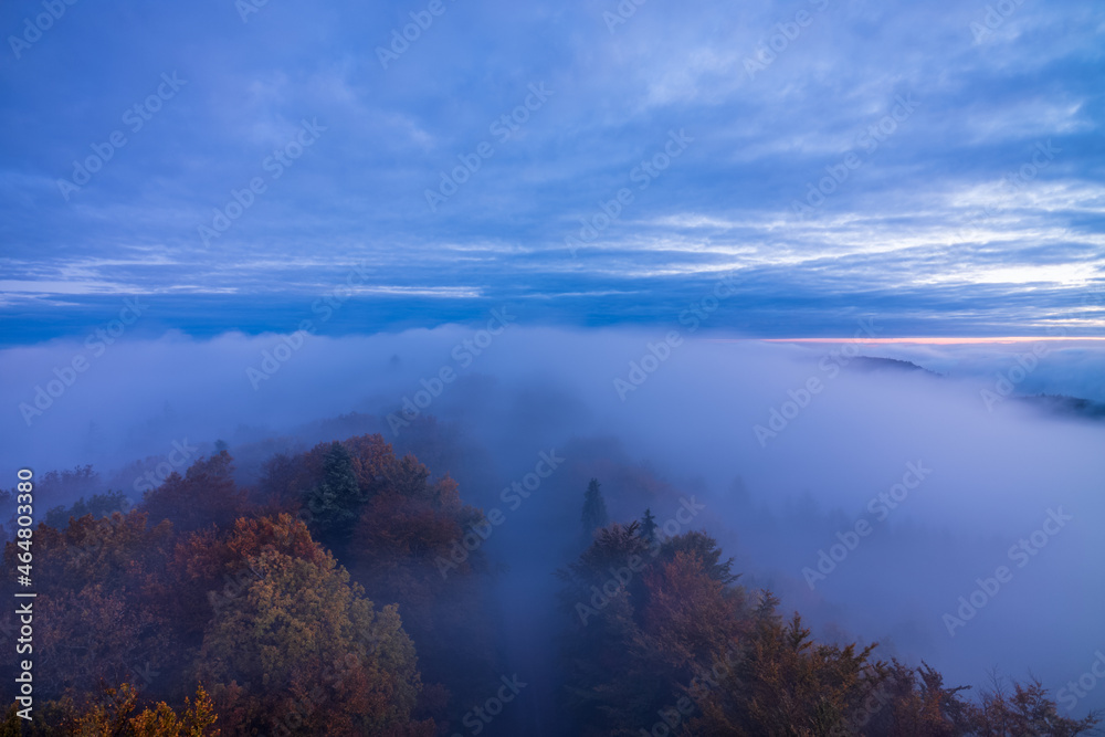 blue hour and fog over colored mountain trees
