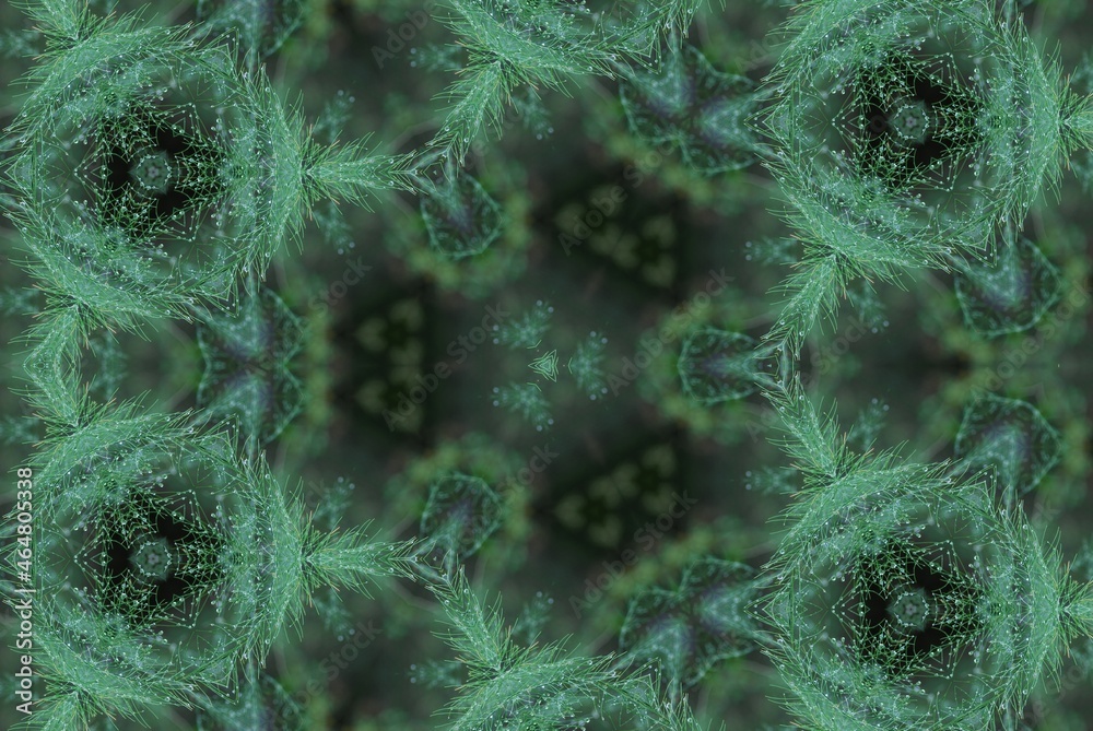geometria