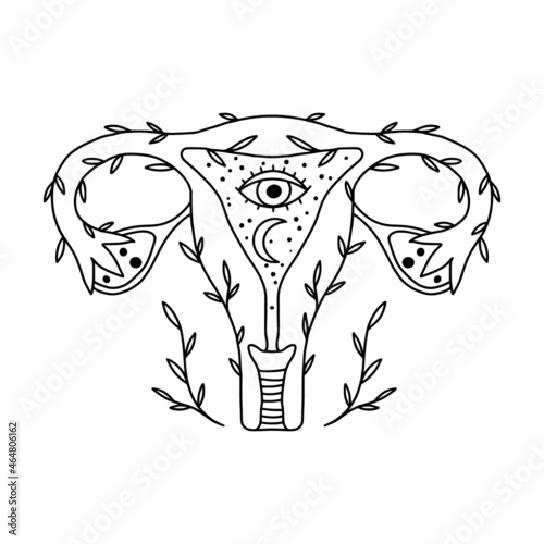 Vector drawing of a female uterus