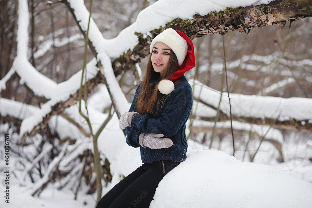 A young girl in a winter park on a walk. Christmas holidays in the winter forest. The girl enjoys winter in the park. A young girl in a winter park on a walk. Christmas holidays in the winter forest. The girl enjoys winter in the park.