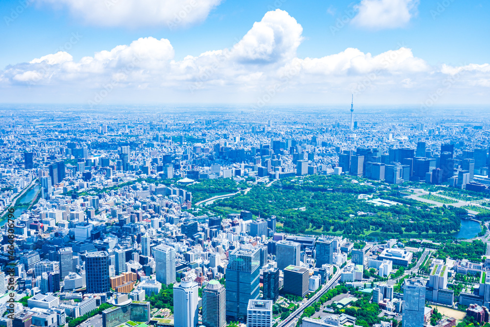 Fototapeta premium 東京都心部 空撮写真