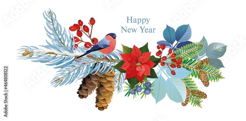 bullfinch new year holidays snow Christmas tree gifts cones