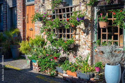 Fototapeta Naklejka Na Ścianę i Meble -  Picturesque street view with flowering plants in the historic city of Bruges, Belgium