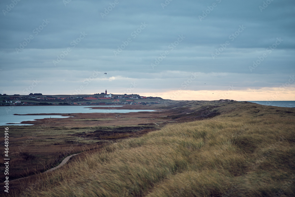 View over Vejlby Klit at the danish north sea coast.