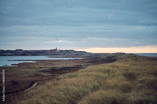 View over Vejlby Klit at the danish north sea coast.
