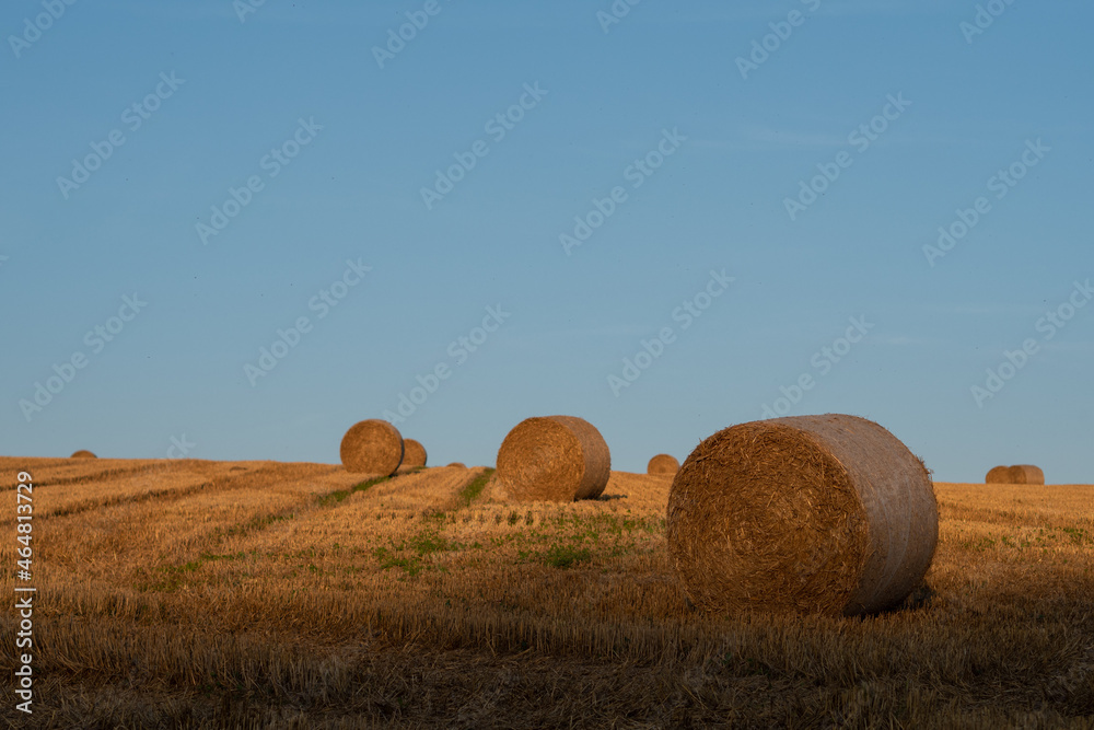 Strohballen auf dem Feld