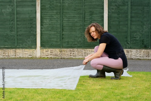 Adele laying down protective netting to protect the lawn from wildlife, hunting chaffer grubbs. photo